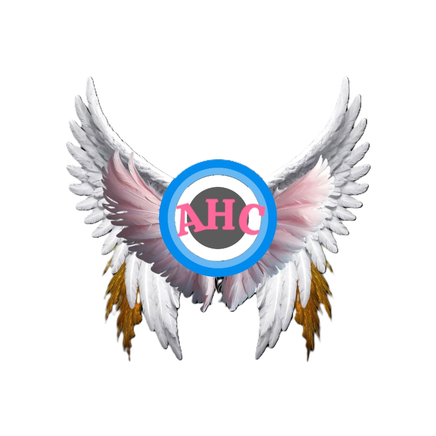 Angelwing Culinary Compass